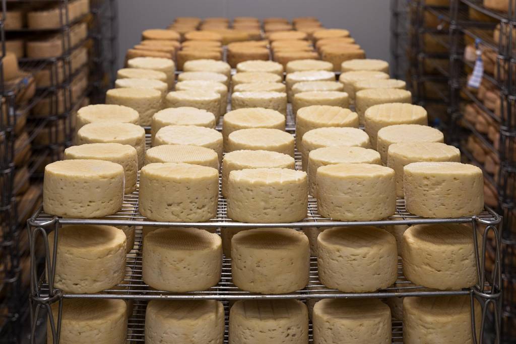 Tarte poireaux chèvre sans pâte : une alternative légère et rapide